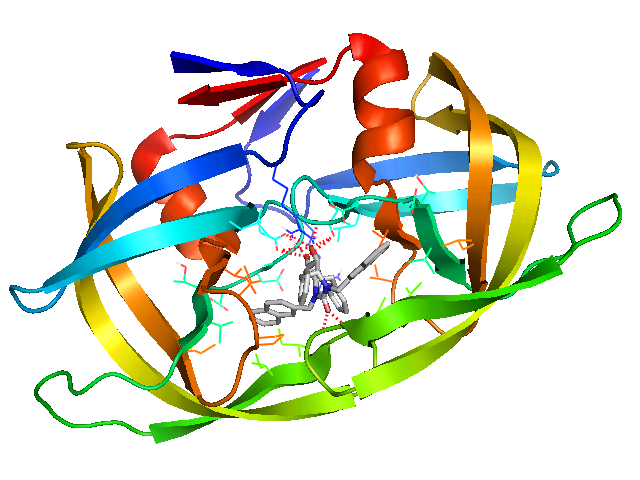 HIV-1 Protease