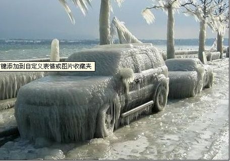 雪.jpg