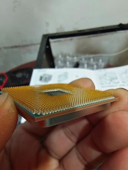 59503.jpg