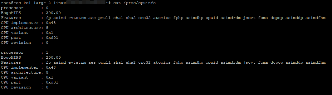 ecs-kc1-large-2_cpuinfo