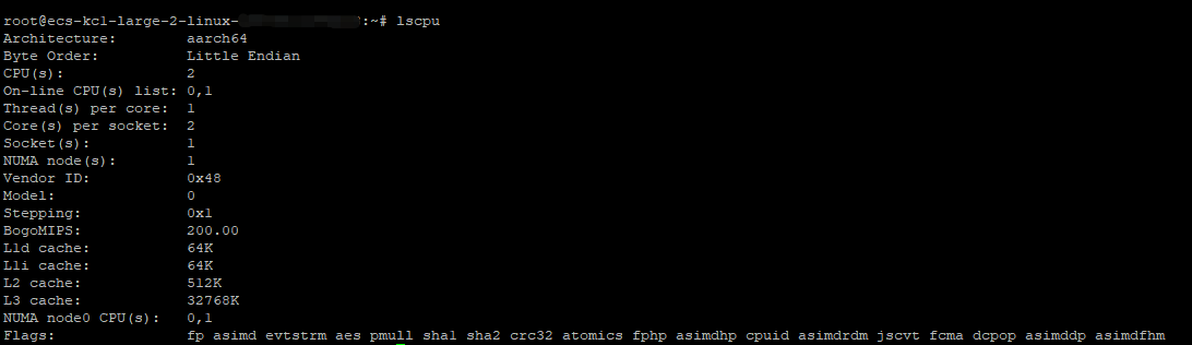 ecs-kc1-large-2_lscpu