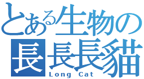 longcat.png