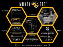MoneyBee 运行中的图形界面
